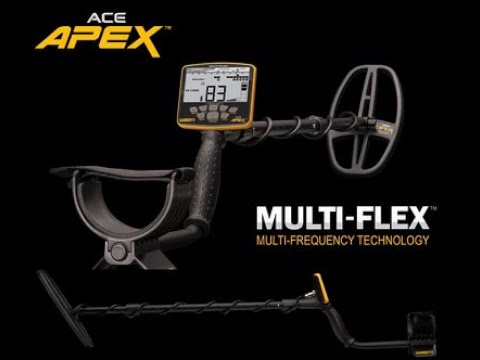 Garrett Apex Dedektör